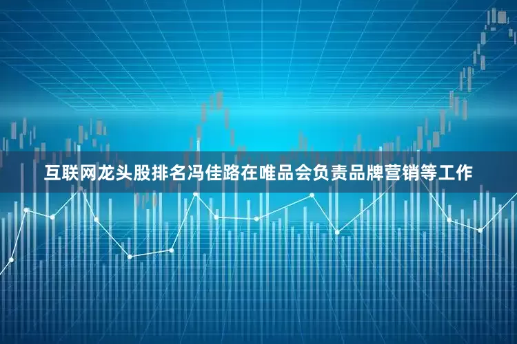 互联网龙头股排名冯佳路在唯品会负责品牌营销等工作