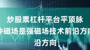 炒股票杠杆平台平顶脉冲磁场是强磁场技术前沿方向